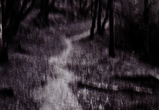 halina paulette tri-x022