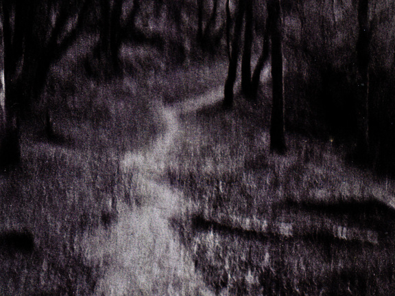 halina paulette tri-x022