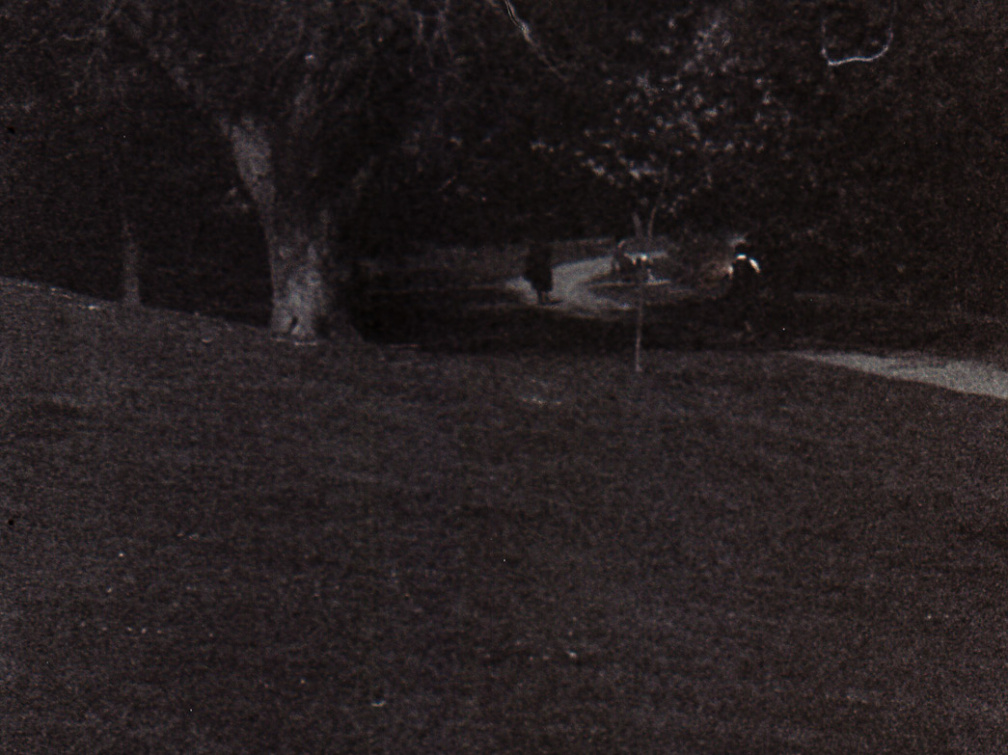 zorki4k acupan800 008