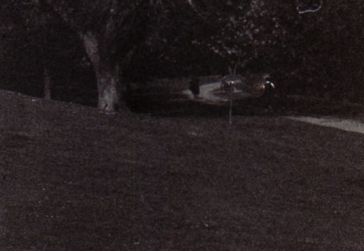 zorki4k acupan800 008