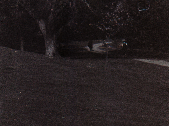 zorki4k acupan800 008