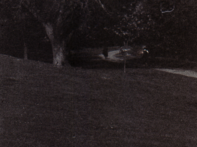 zorki4k acupan800 008