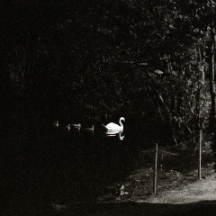 zorki4k acupan800 011