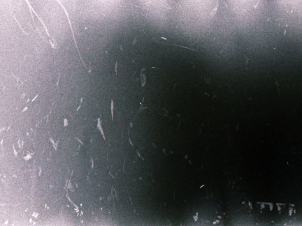 zorki4k acupan800 021