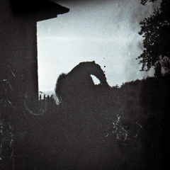 zorki4k acupan800 023