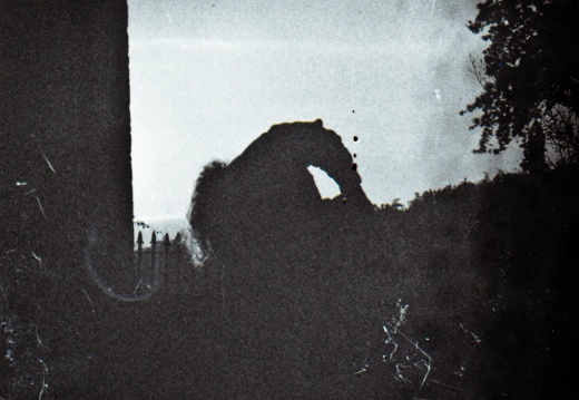 zorki4k acupan800 023