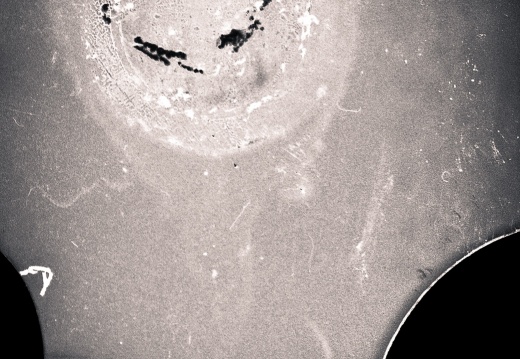 zorki4k acupan800 024