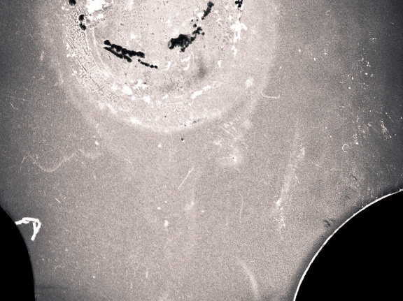 zorki4k acupan800 024