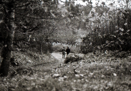 om40 hp5 exp-nov1988 06