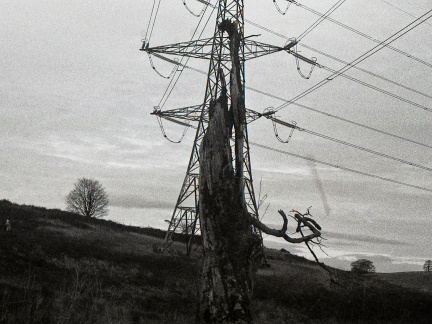 om40 hp5 exp-nov1988 10