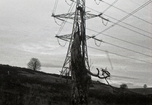 om40 hp5 exp-nov1988 10