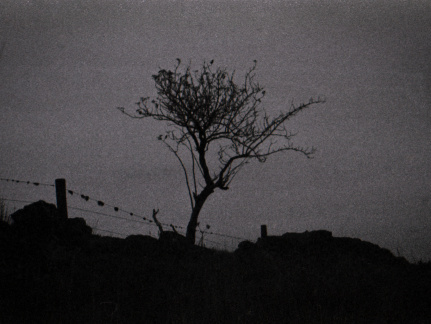 om40 hp5 exp-nov1988 015