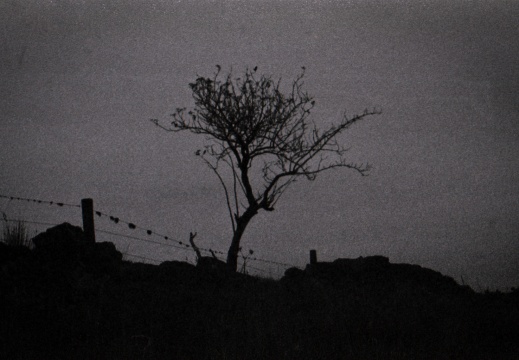 om40 hp5 exp-nov1988 015