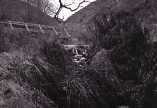 om10 tri-x castle campbell 015