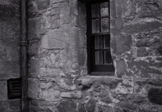 om10 tri-x castle campbell 026