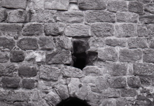 om10 tri-x castle campbell 025