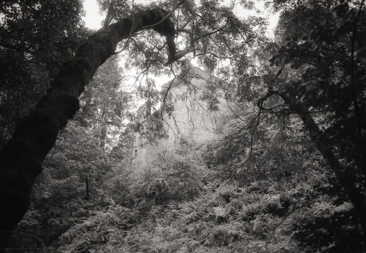 om20 foma100 at400 lc29push1010