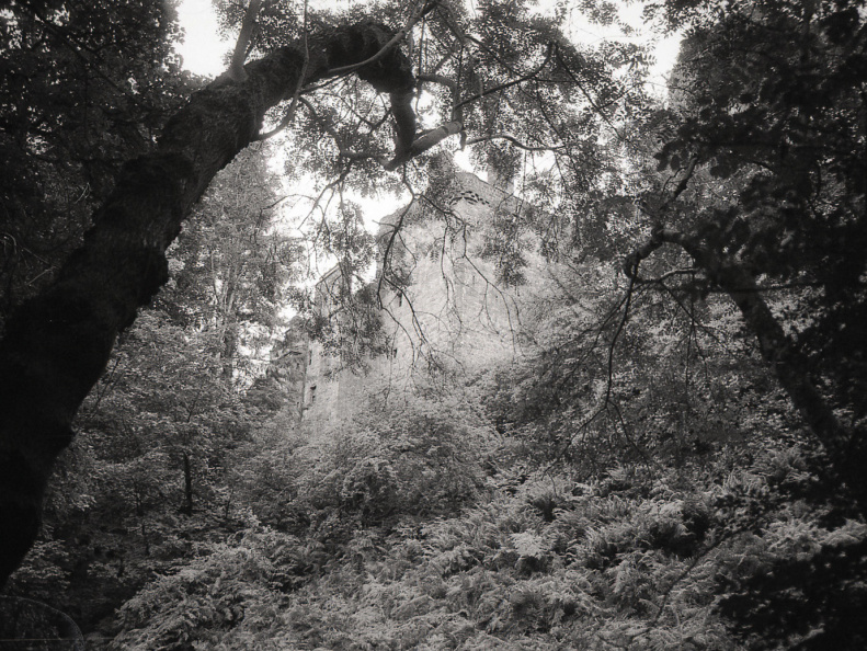 om20 foma100 at400 lc29push1010