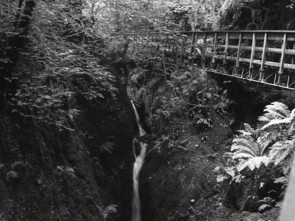 om20 foma100 at400 lc29push1006