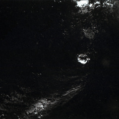 kiev4m foma100 lc29 012