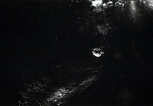 kiev4m foma100 lc29 012