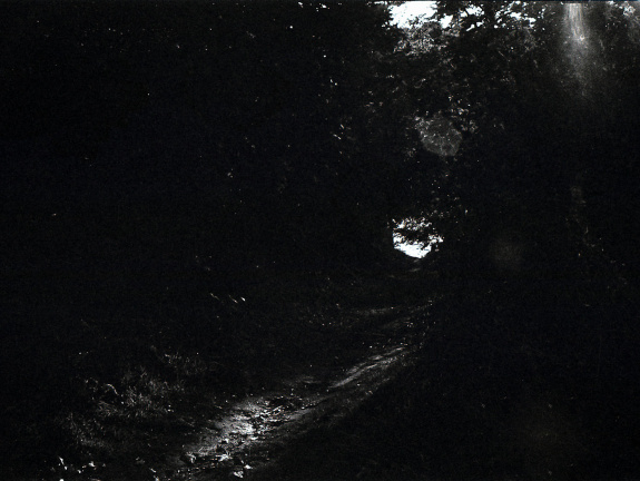 kiev4m foma100 lc29 012