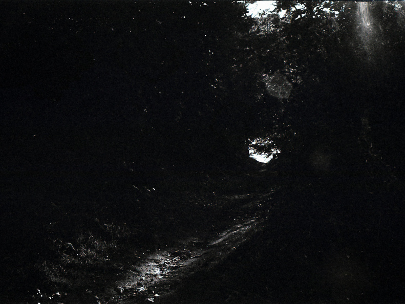 kiev4m foma100 lc29 012