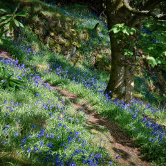 DSC 6744 AuroraHDR2018-edit