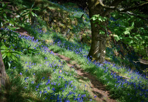 DSC 6744 AuroraHDR2018-edit