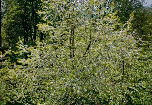 DSC 6840 AuroraHDR2018-edit