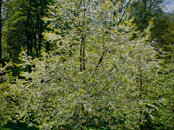 DSC 6840 AuroraHDR2018-edit