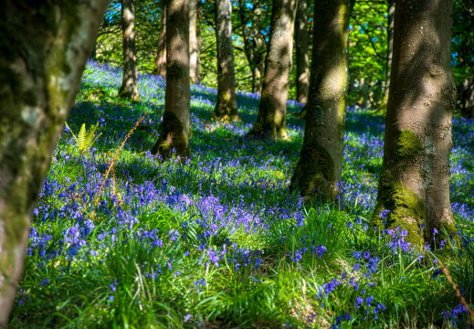 DSC 6886 AuroraHDR2018-edit