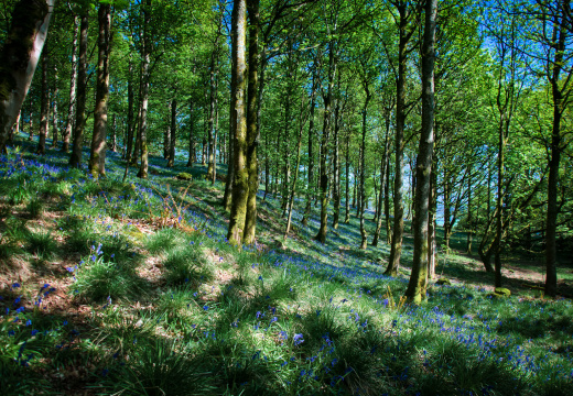 DSC 6876 AuroraHDR2018-edit