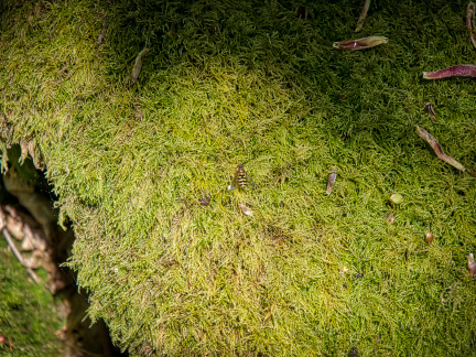 DSC 6873 AuroraHDR2018-edit