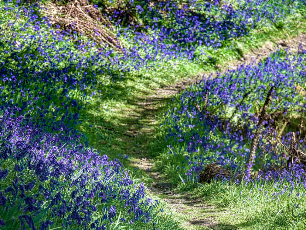 DSC 6828 AuroraHDR2018-edit