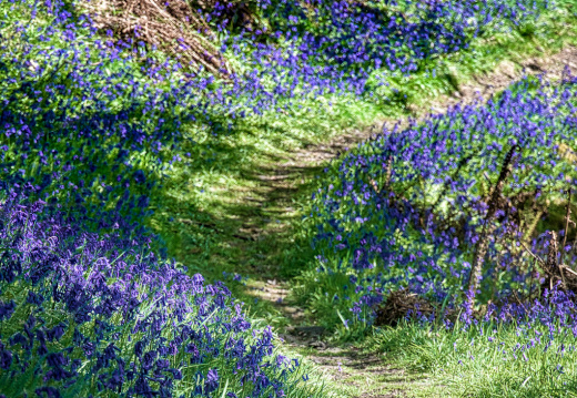 DSC 6828 AuroraHDR2018-edit