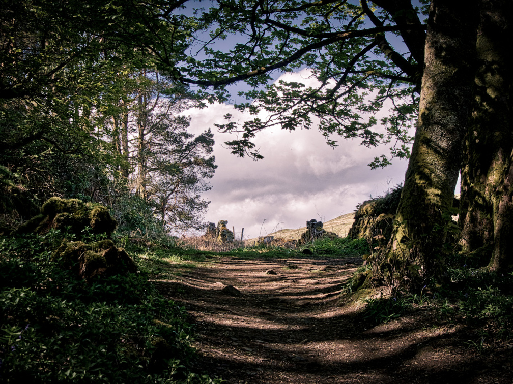 DSC 6931 AuroraHDR2018-edit