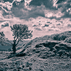 DSC 6952 AuroraHDR2018-edit