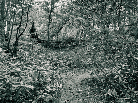 DSC 7279 AuroraHDR2018-edit