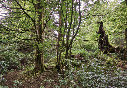 DSC 7285 AuroraHDR2018-edit