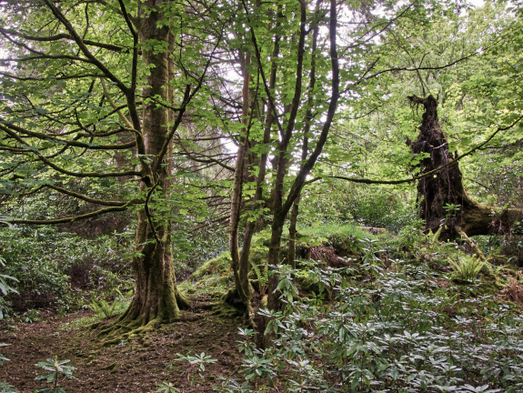 DSC 7285 AuroraHDR2018-edit