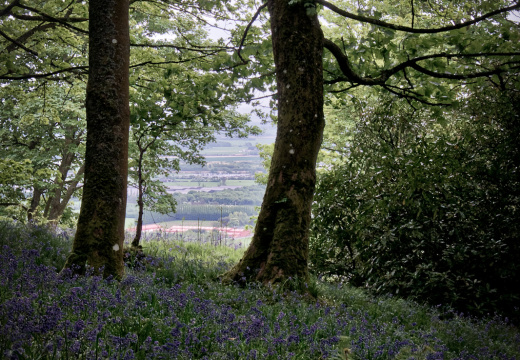 DSC 7366 AuroraHDR2018-edit