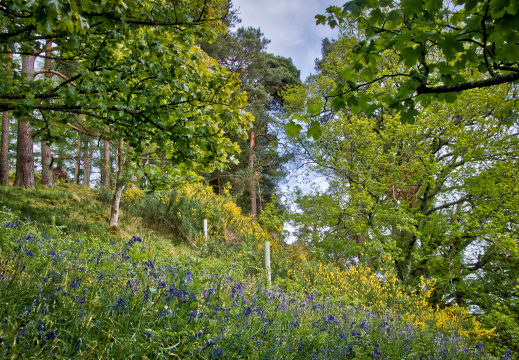 DSC 7120 AuroraHDR2018-edit