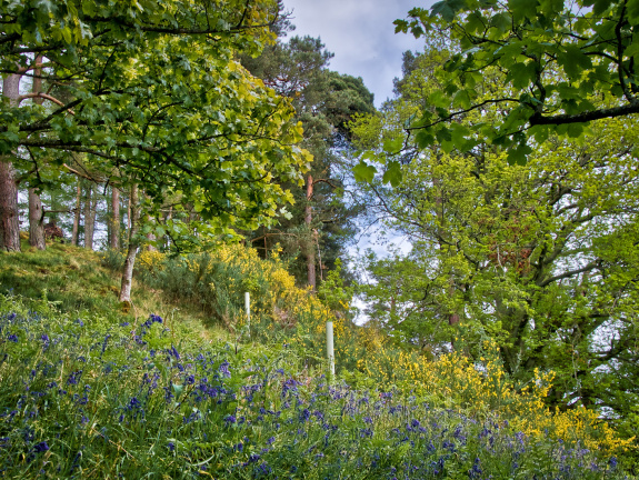 DSC 7120 AuroraHDR2018-edit