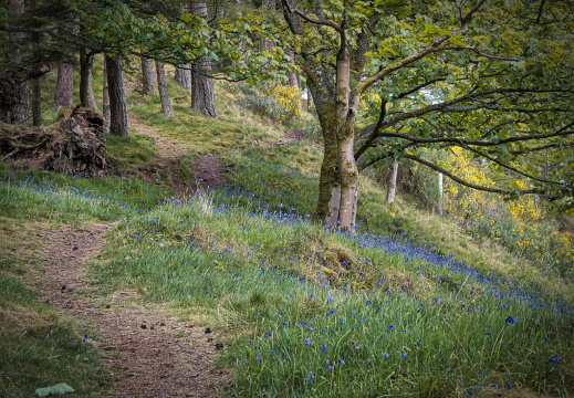 DSC 7141 AuroraHDR2018-edit