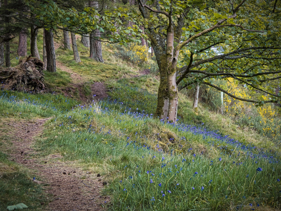 DSC 7141 AuroraHDR2018-edit