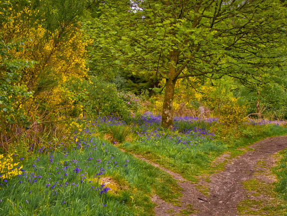 DSC 7264 AuroraHDR2018-edit