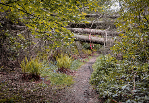 DSC 7288 AuroraHDR2018-edit