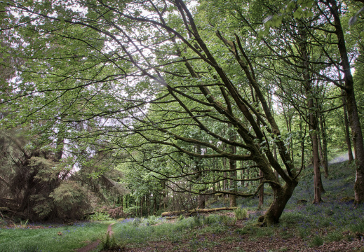 DSC 7357 AuroraHDR2018-edit