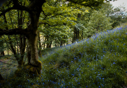 DSC 7164 AuroraHDR2018-edit